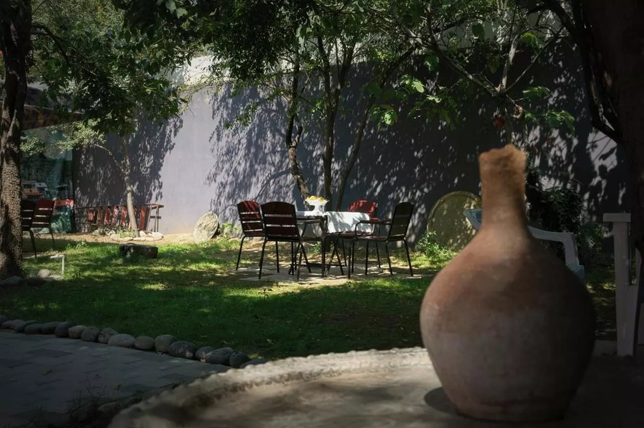 GARDEN_SHABAVIZ (2).jpg